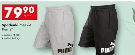 Чоловічі шорти Puma
