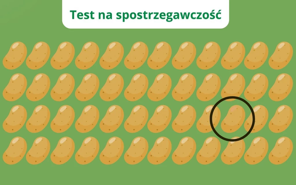 Rysunek z rzędem ziemniaków na zielonym tle, na środku jeden ziemniak jest otoczony czarnym kółkiem, u góry napis Test na spostrzegawczość.