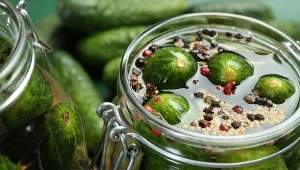 Te ogórki możesz jeść już na drugi dzień. Nie musisz ich pasteryzować i czekać, aż się ukiszą