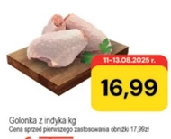 Golonka indycza