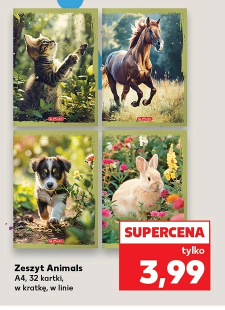 Zeszyt Animals