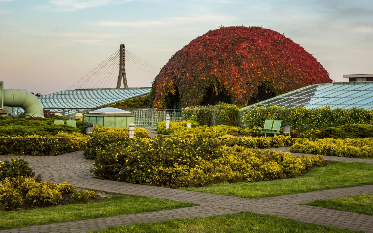 Ogród na dachu Biblioteki Uniwersyteckiej