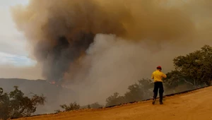 Pożar "Canyon Fire" w pobliżu Los Angeles