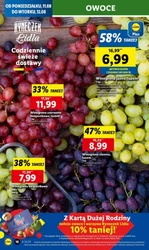 Zakupy pełne radości - Lidl