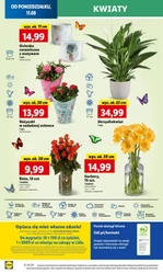 Zakupy pełne radości - Lidl