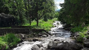 Napiła się wody ze strumienia w Tatrach. "Prawie umarła"