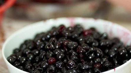 Ten cenny owoc zaczyna owocować końcem sierpnia.