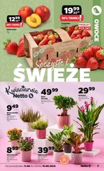 Tanie i świeże zakupy – Netto