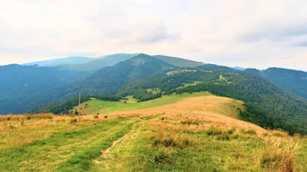 Wielka Fatra - jakie najciekawsze szlaki skrywa? 