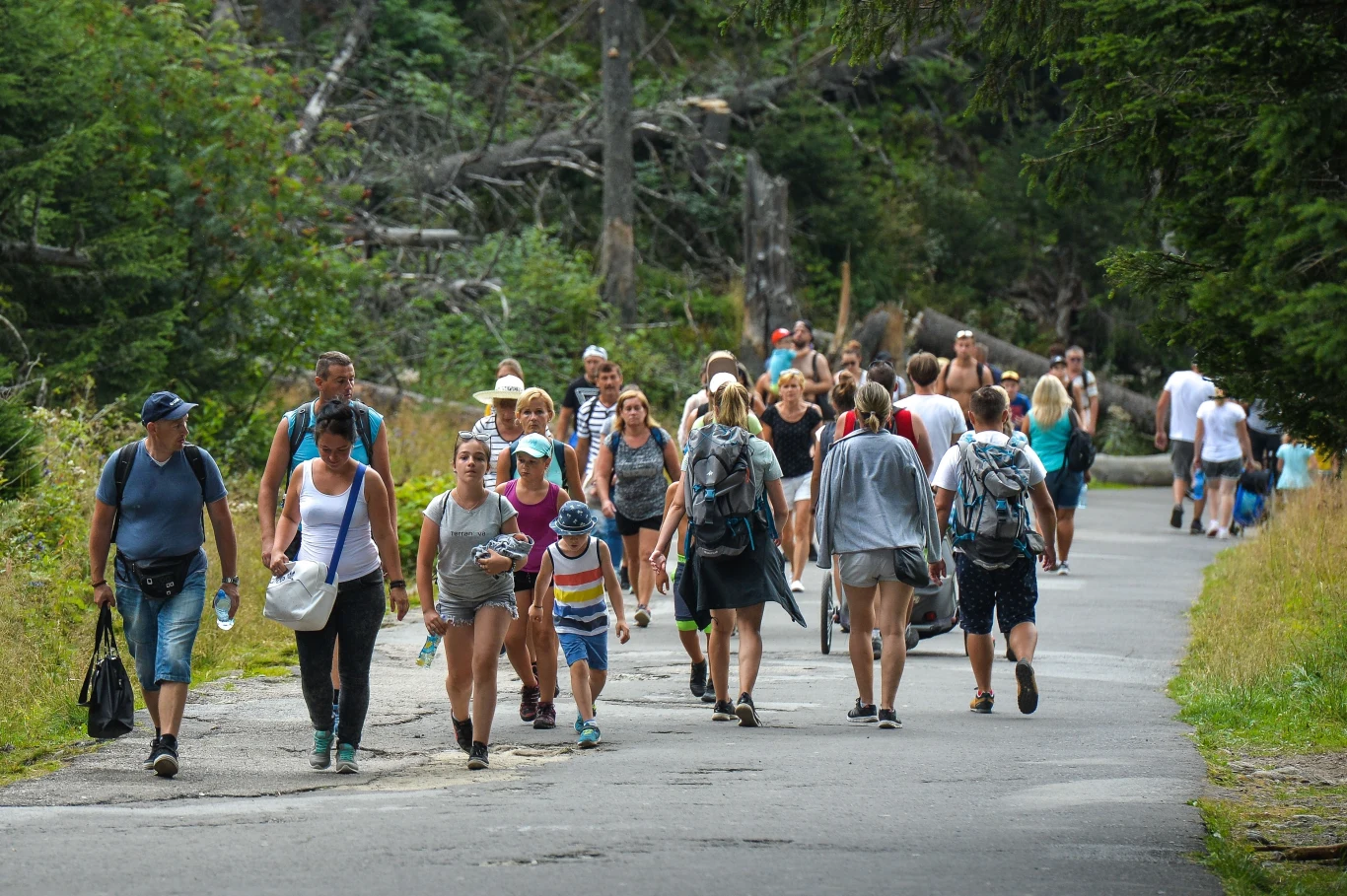 Długi weekend sierpniowy na wielu szlakach górskich upłynie pod znakiem tłumów. 