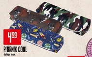 Piórnik Coco Cool