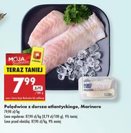 Dorsz Marinero