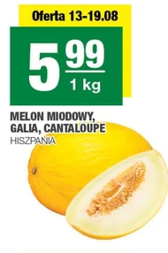 Melon