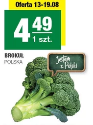 Brokuł