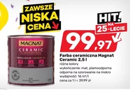 Farba Magnat
