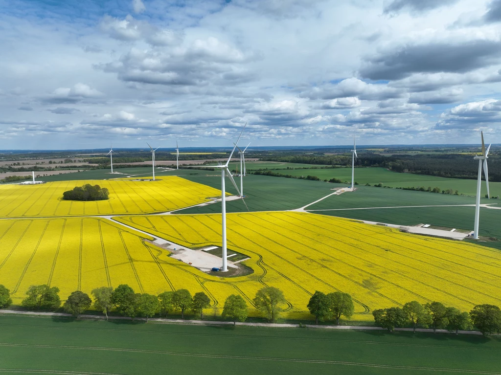 Elektrownia wiatrowa w Drzeżewie