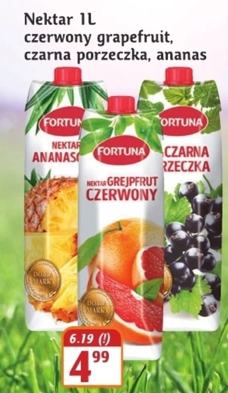 Nektar Fortuna