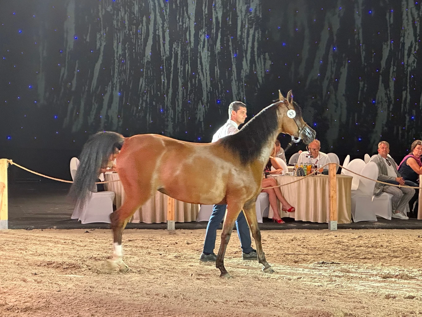 Koń prowadzony przez mężczyznę na arenie pokrytej piaskiem, w tle widoczna grupa elegancko ubranych osób siedzących przy stołach na tle ciemnej kurtyny z oświetleniem punktowym.