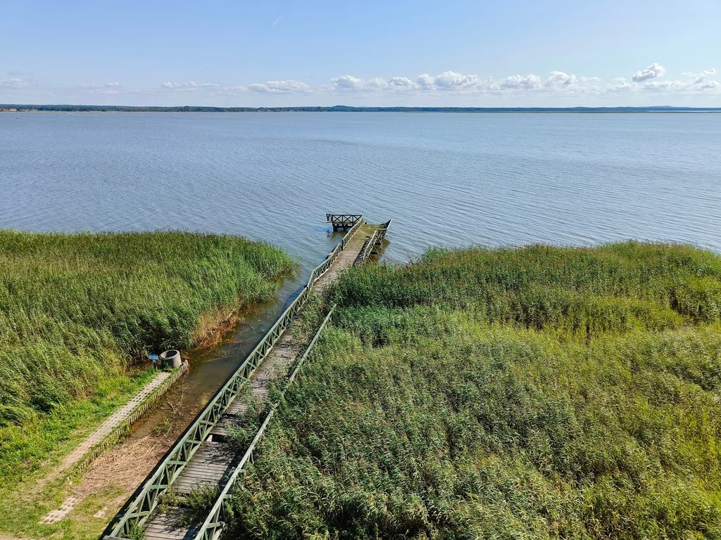 Widok na Jezioro Łebsko Drewniany pomost prowadzący przez zarośnięty brzeg jeziora, otoczony gęstą trzciną, kończy się nad spokojną taflą wody; na horyzoncie widoczne rozległe niebo z niewielką ilością chmur.