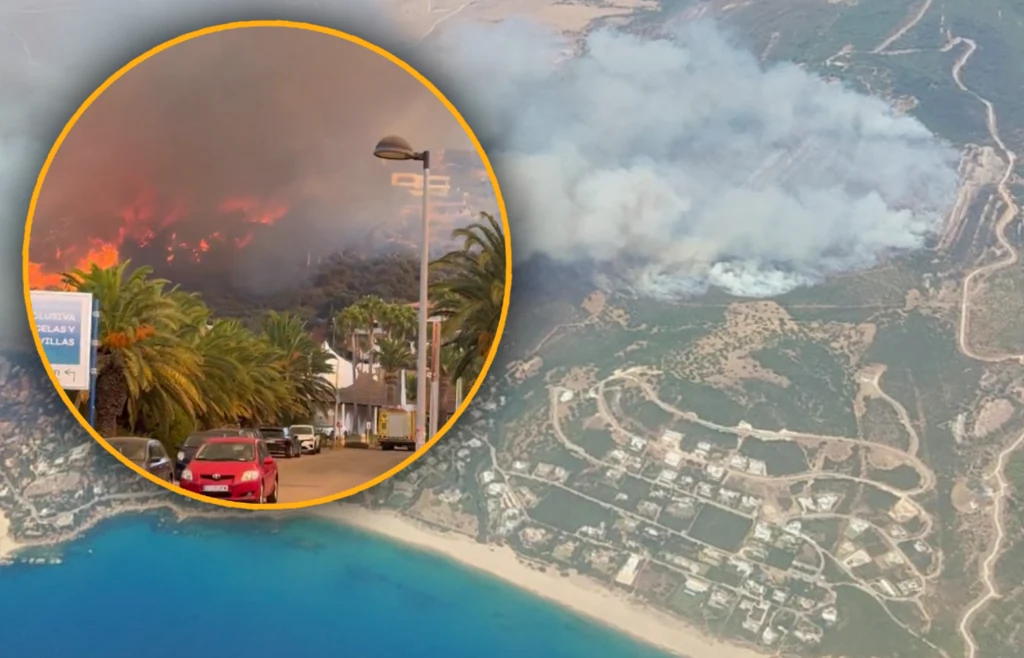 Pożary w rejonie góry Sierra de la Plata Gęsty dym oraz płomienie obejmujące wzgórza i lasy w pobliżu terenów zamieszkanych, zbliżenie na ulicę z samochodami oraz palmami w cieniu unoszącego się dymu.