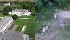 Posiadłość rodziny Orbana nagrana z drona. W okolicy pasą się zebry
