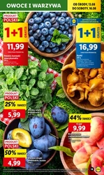 Lidl - Wypełniony okazjami