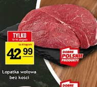 Безкісткова лопатка