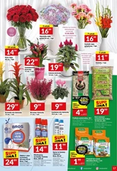 Ulubione marki w promocji - Twój Market