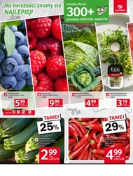 Wybierz fitness - Oferta spożywcza Selgros