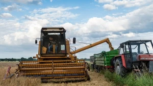 Żniwa 2025. Ceny pszenicy na poziomie sprzed 20 lat