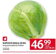 Білокачанна капуста