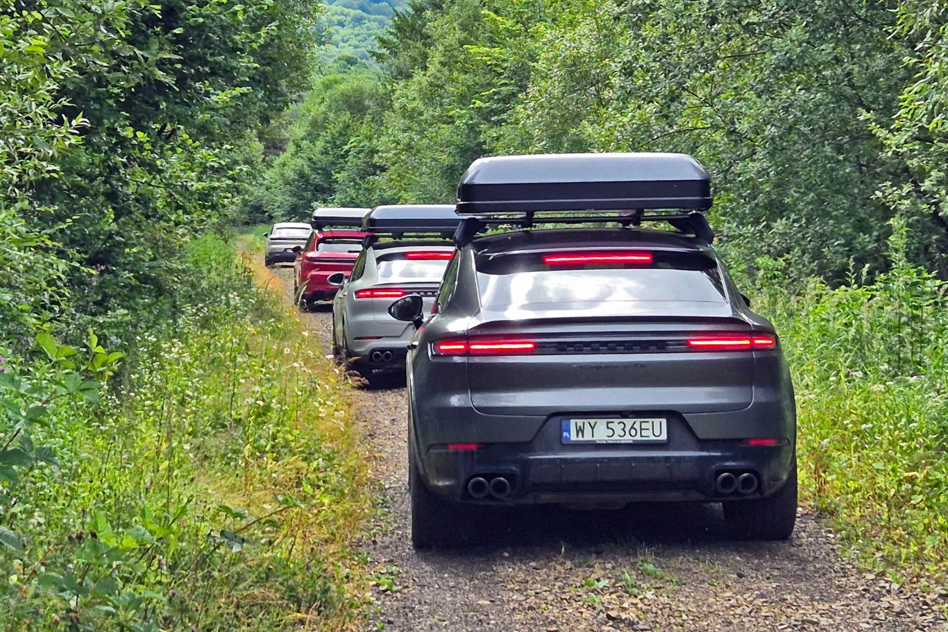 Porsche Cayenne z namiotem dachowym Kolumna nowoczesnych samochodów osobowych, każdy z boxem dachowym, jadących szutrową leśną drogą otoczoną zielenią.