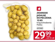 Картопля