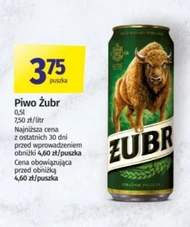 Piwo Żubr