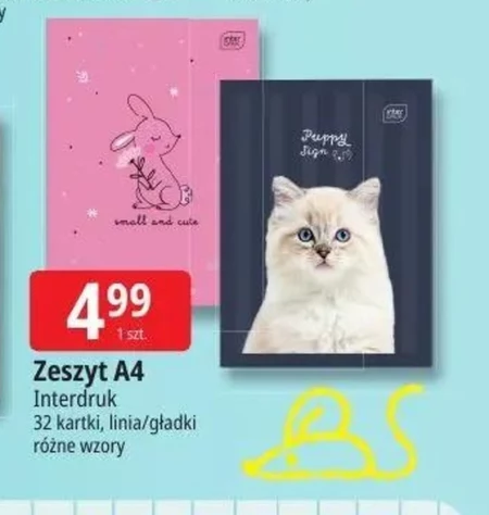 Zeszyt Interdruk