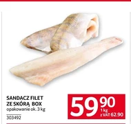 Sandacz Ok.