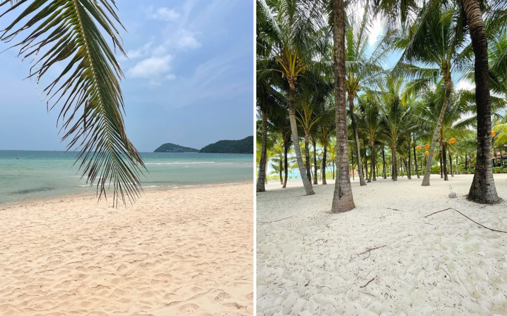 Plaże na wyspie Phu Quoc Piaszczysta plaża z turkusową wodą, pojedyncze liście palmowe nachodzące na pierwszy plan, w tle spokojne morze i zielone wzgórza po lewej, po prawej stronie gęsty gaj palmowych na jasnym piasku.