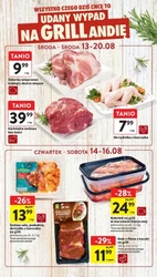 Udany wypad na GRILLandię!- Intermarche