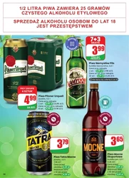 Zielony zakątek - Dino 