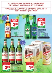 Zielony zakątek - Dino 