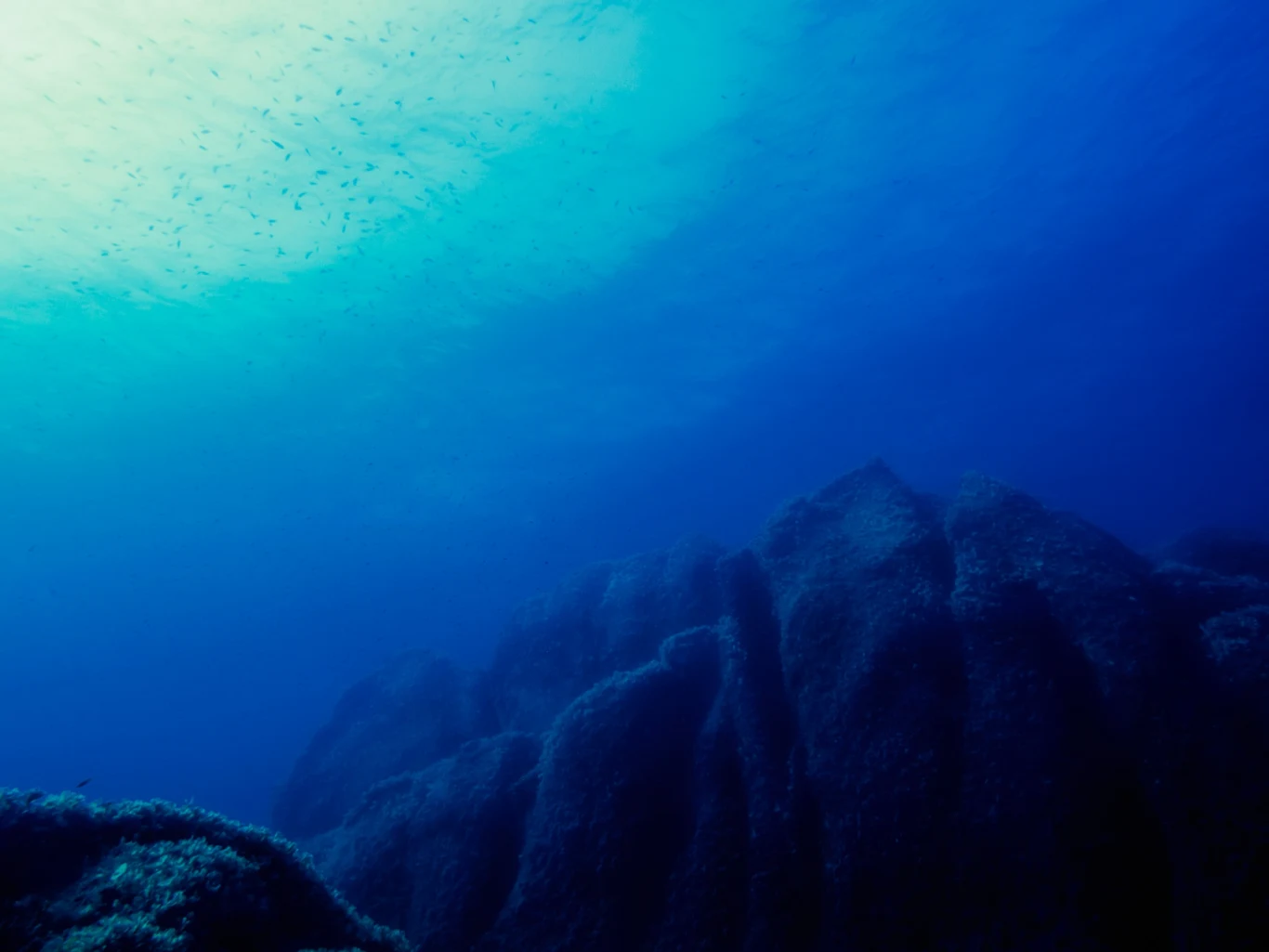 Formacje skalne z glonami na dnie oceanu otoczone niebieską wodą i rozproszonym światłem z powierzchni.