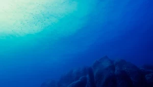Oceany skrywają więcej, niż myślisz. Odkryli 20 struktur na dnie Pacyfiku