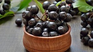 Owoce na zdrowe serce i prawidłowy cukier. Najlepiej jeść na surowo 