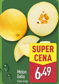Melon