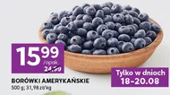 Borówki amerykańskie