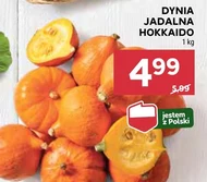 Dynia