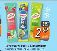 Lody Hortex