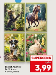Zeszyt Animals