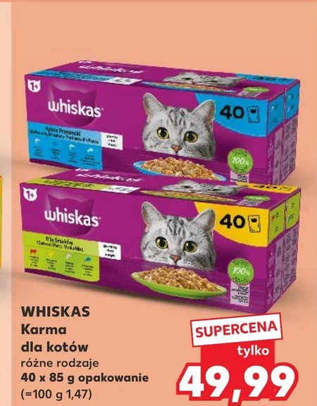 Karma dla kota Whiskas