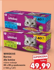 Karma dla kota Whiskas